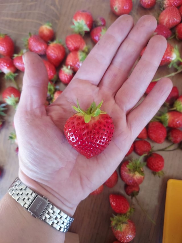 fraise en forme de coeur
