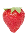 Fraise montante charlotte