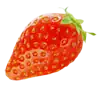 Fraise montante ciflorette
