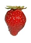 Fraise montante cirafine