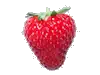 Fraise montante cireine