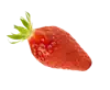 Fraise montante gariguette