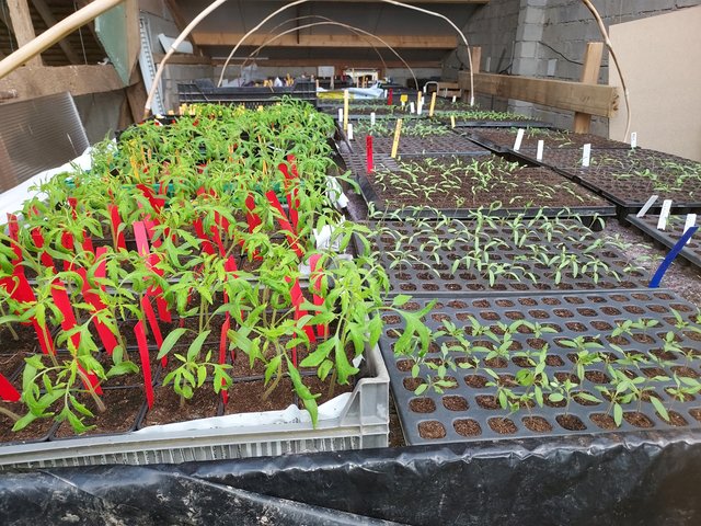 Laura au Salon de GranParigny